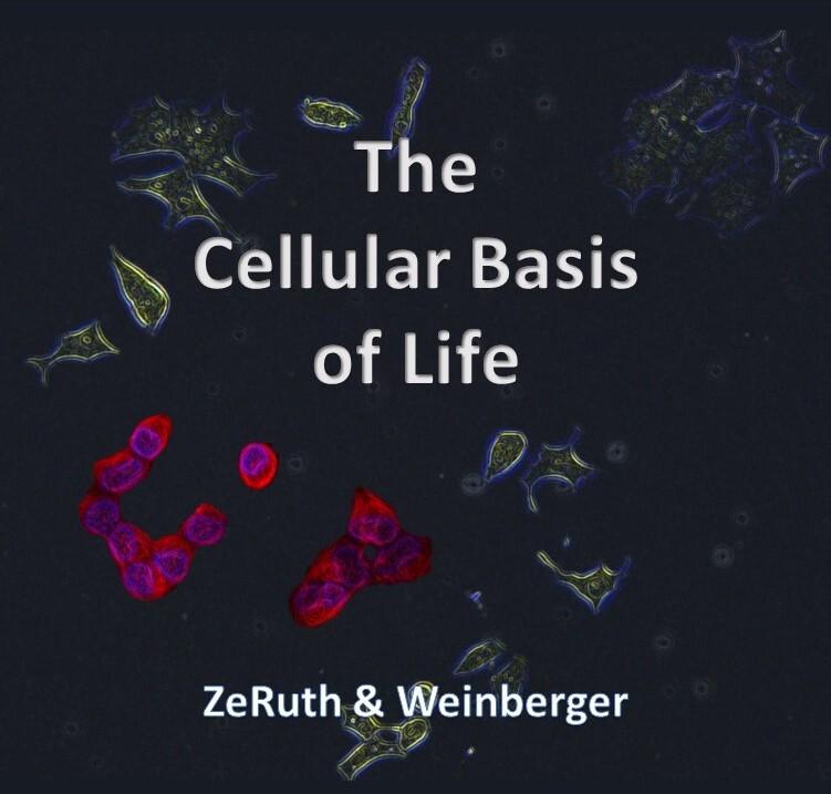 The Cellular Basis of Life cover photo