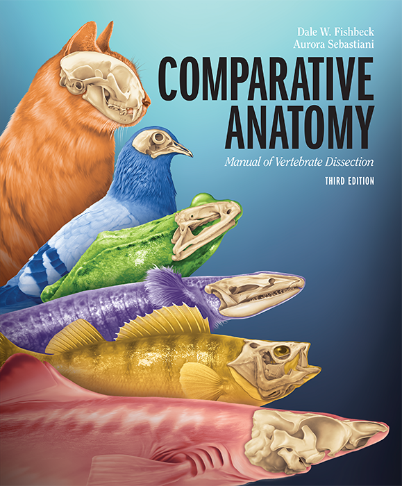 Comparative Anatomy: Manual of Vertebrate Dissection, 3e cover photo