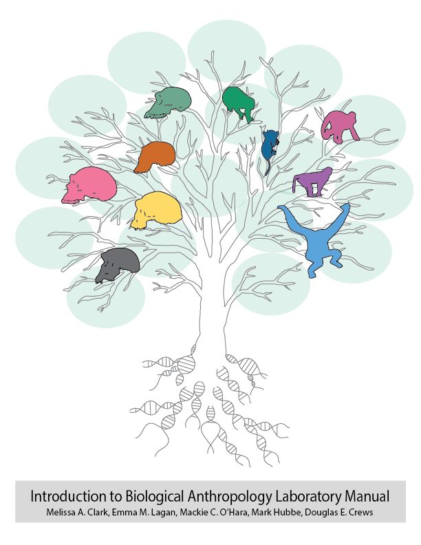 Introduction to Biological Anthropology Lab Manual cover photo