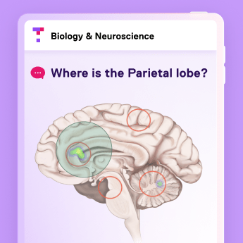 Create assessment questions image