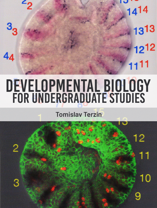 Developmental Biology for Undergraduate Studies cover photo