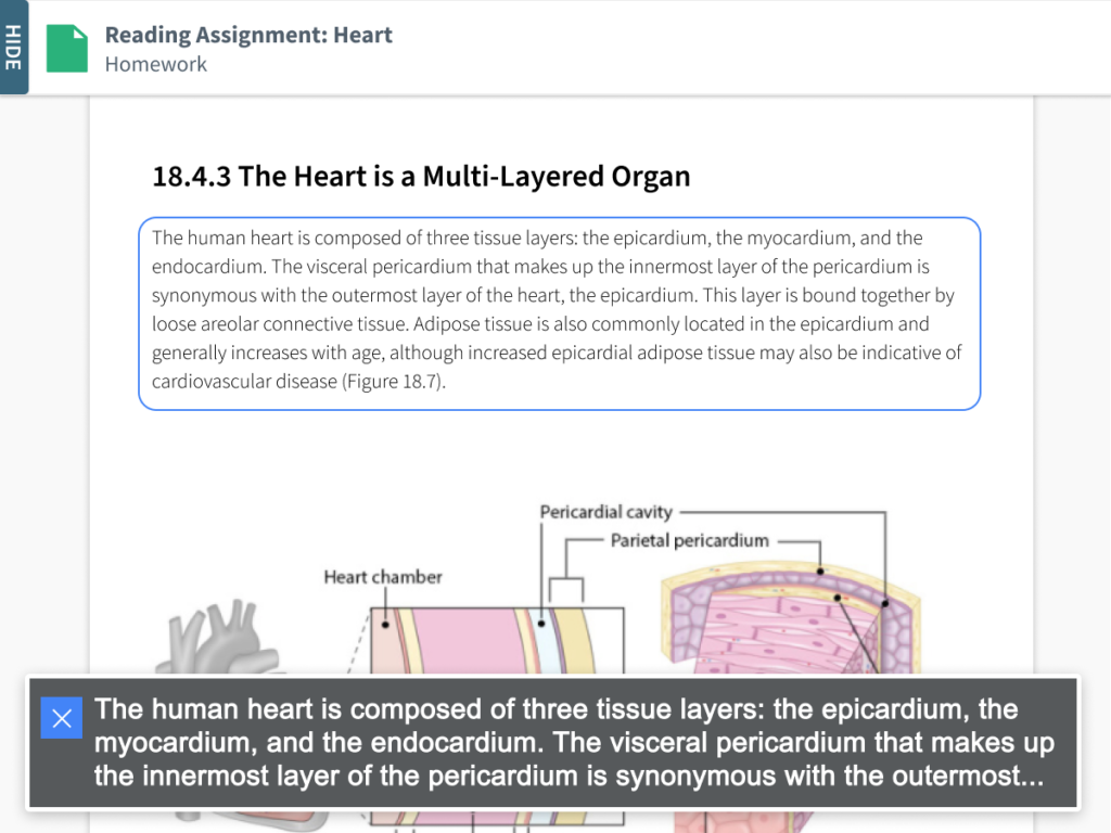 View of a screen reader narrating the content of a reading assignment.