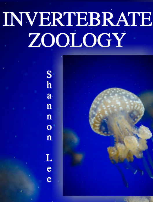 Invertebrate Zoology cover photo