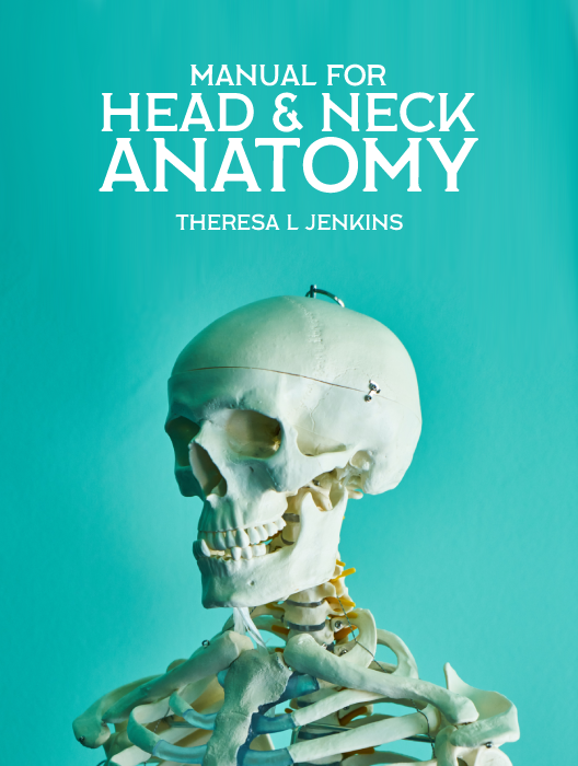 Manual for Head and Neck Anatomy cover photo