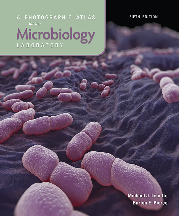 Photographic Atlas for the Microbiology Laboratory, 5e cover photo