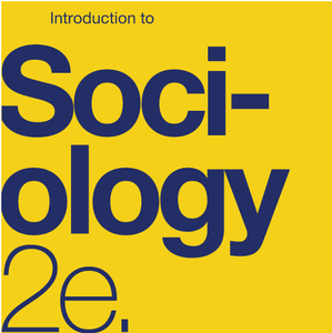 Social Stratification, Global Inequality and Race and Ethnicity cover photo